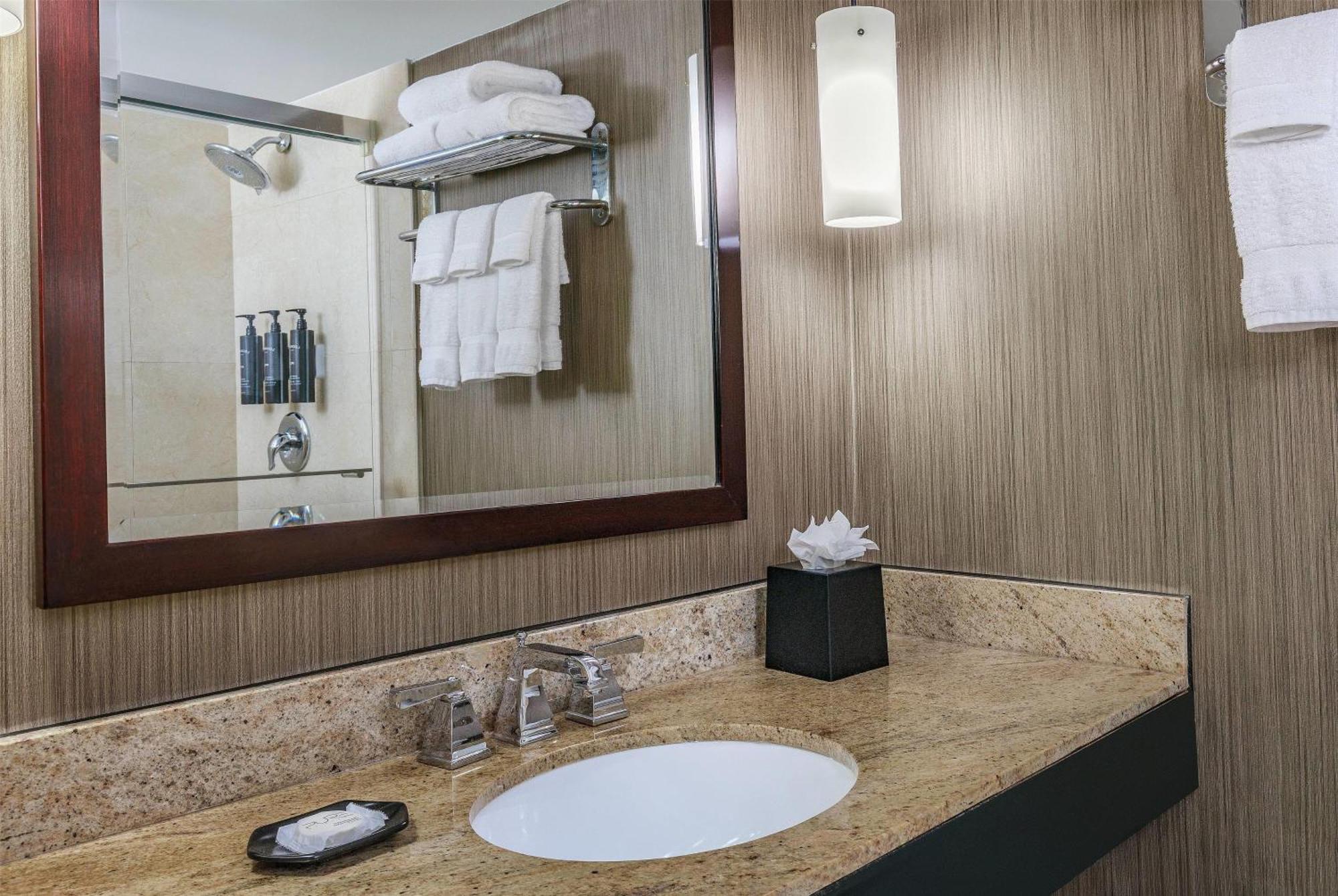 Courtland Grand Hotel, Trademark Collection By Wyndham Atlanta